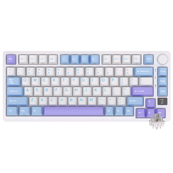 Teclado Gamer Mecanico Royal Kludge RK-M75 Wireless / RGB / Silver / Ingles - Taro Milk
